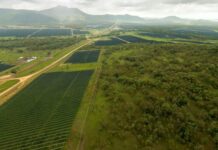 Aldoga solar farm fully operational