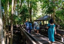 Have a blast this summer