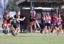 Great snaps from 2025