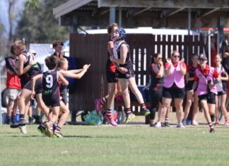 Great snaps from 2025