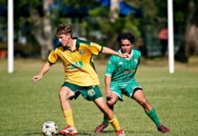 Sharks swim to premier comp