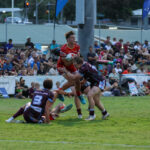 CaprasDolp_533253_15