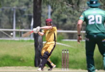 Falcons swoop on The Glen