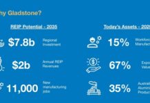 REIPing the rewards of net zero