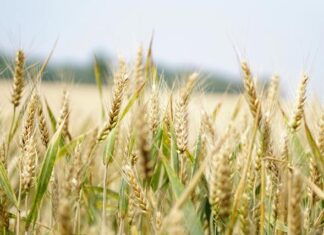 New grant to build skills and strengthen future workforce