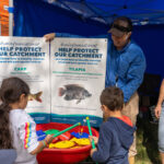 ecofest_536416_01