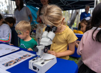 Call for Ecofest vendors