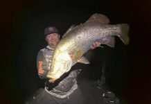 Reeling in the action