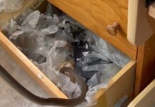 High-rise snake shock