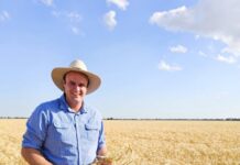 Bug bear of the beef industry