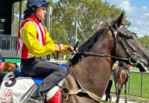 Rocky’s Rose blooms in the Mountain