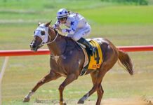 Easter joy for Meissner