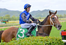 Bumper race day ahead at Callaghan Park