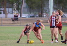 Saints overtaken by Glenmore after Stenlake Park loss