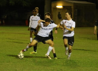 Central keep streak rolling, Eagles fly into finals contention