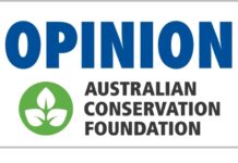 Nature loses to fossil fuels in budget