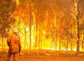 Free fire management workshops across the region
