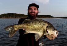 Get in early for best fishing potential