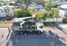 Ergon lops risk with tree-trimming program